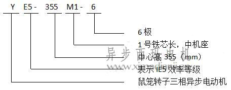 三期内必开一期特号